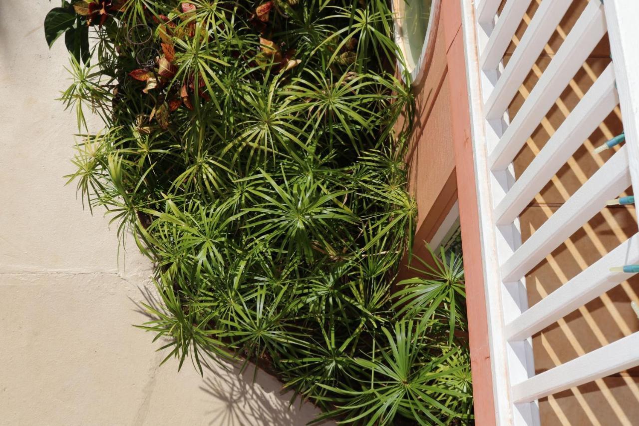 Maui Garden Oasis Lahaina Exterior foto